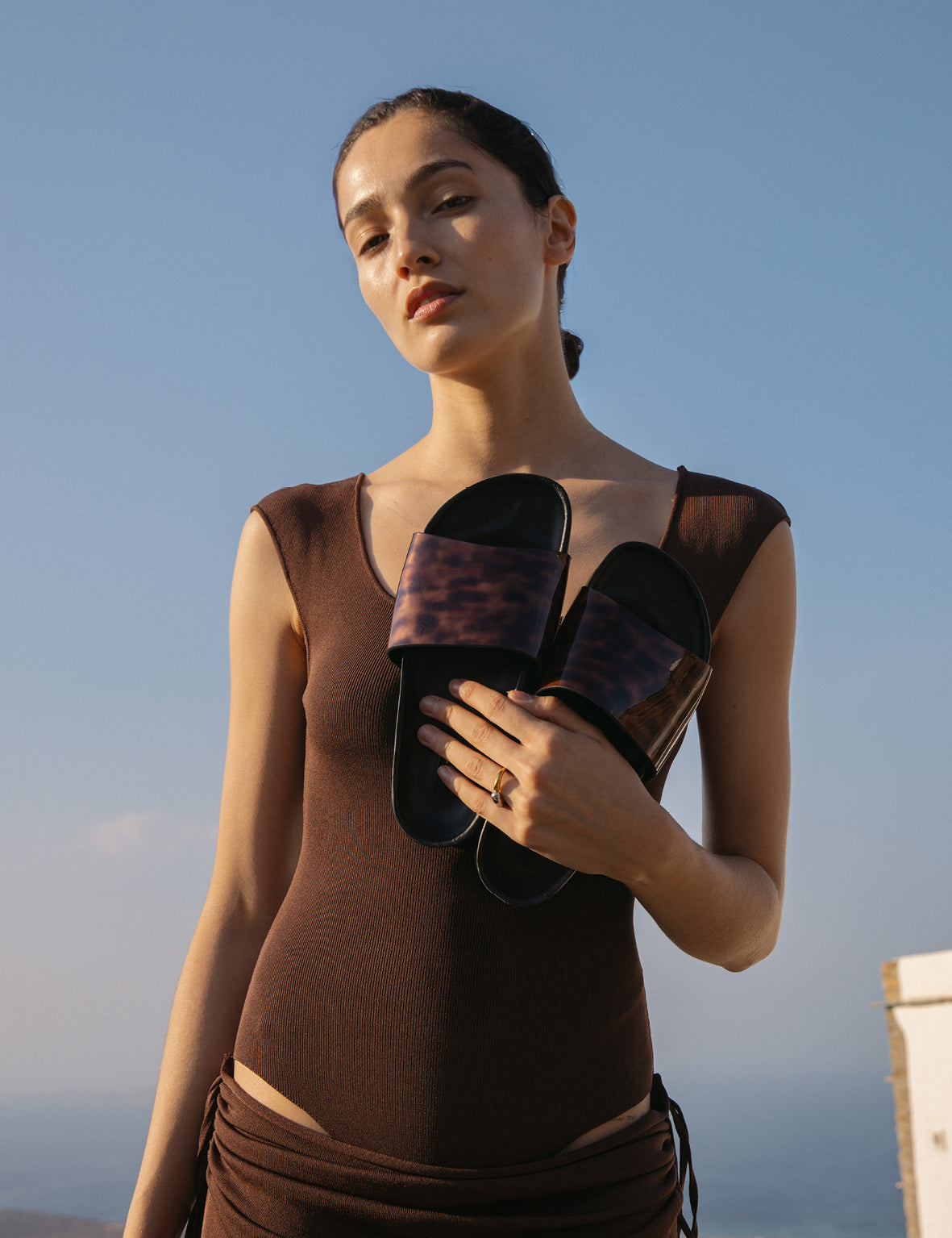 Platform Slide Animal