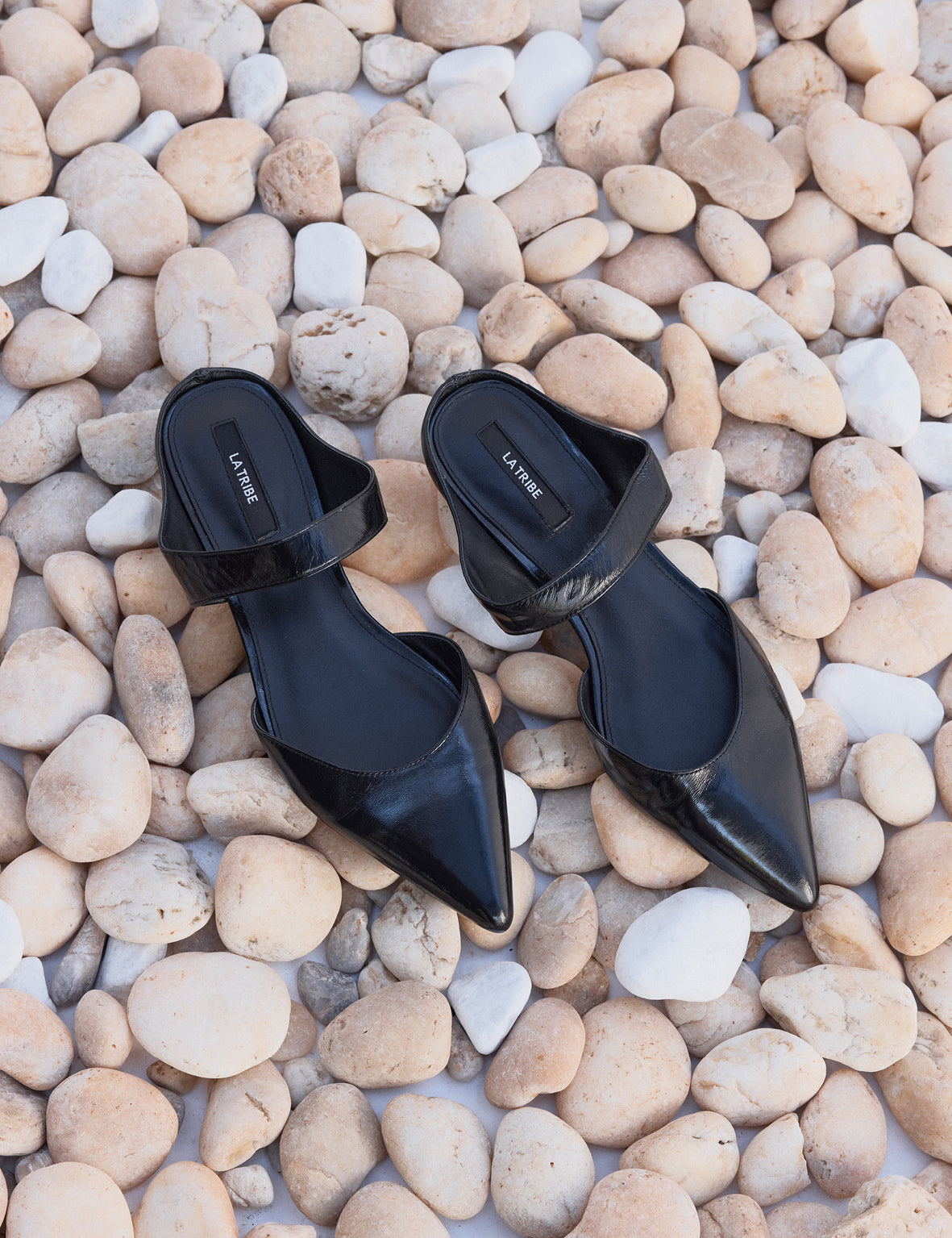 Pointed Mule Shiny Black